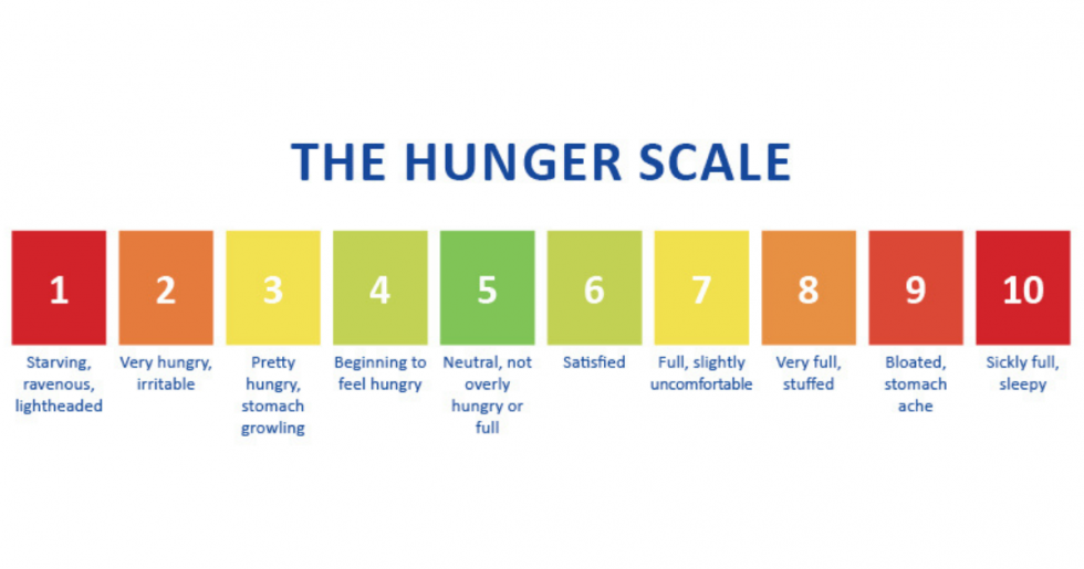Pretty scale test. Hunger Scale. Шкала голода. On a Scale of. Hungry fulness Scale.